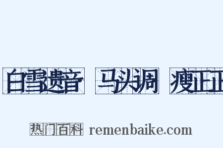 白雪遗音·马头调·瘦正正是什么意思的图片